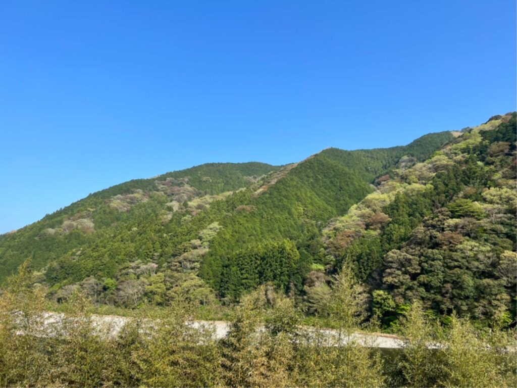 越知ののどかな景色