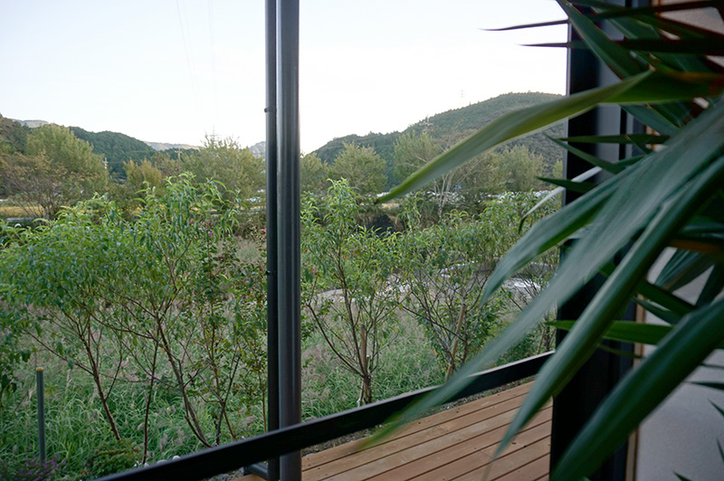 社屋から見える風景の写真